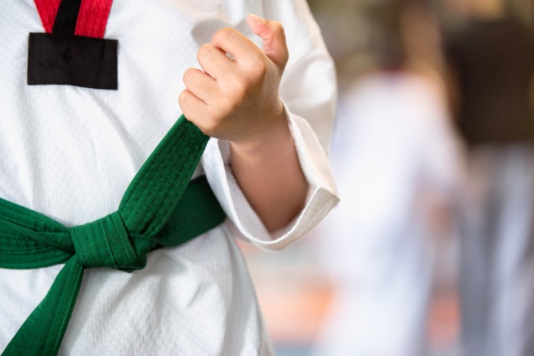 ARTES MARCIALES